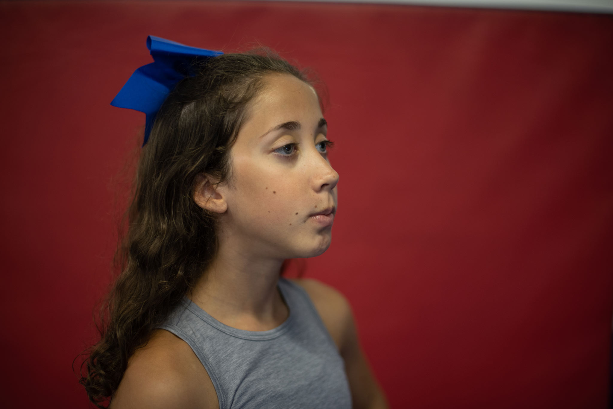 A close-up portrait of Gracie looking fierce and determined while wearing a bright blue bow. She is shown in profile.