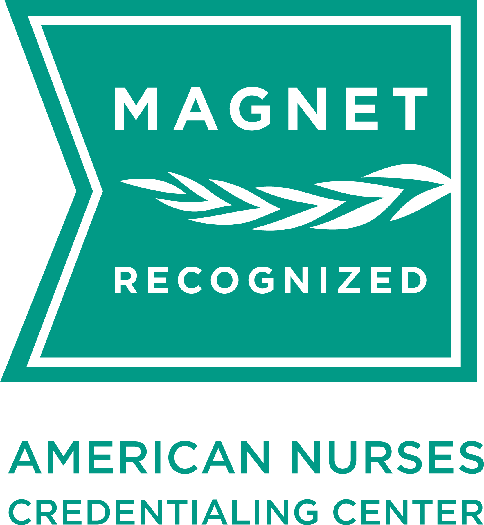 ANCC Magnet Recognition