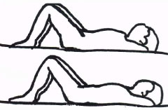Gluteal sets back exercise illustration