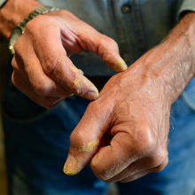 Lynn Sweet's hands