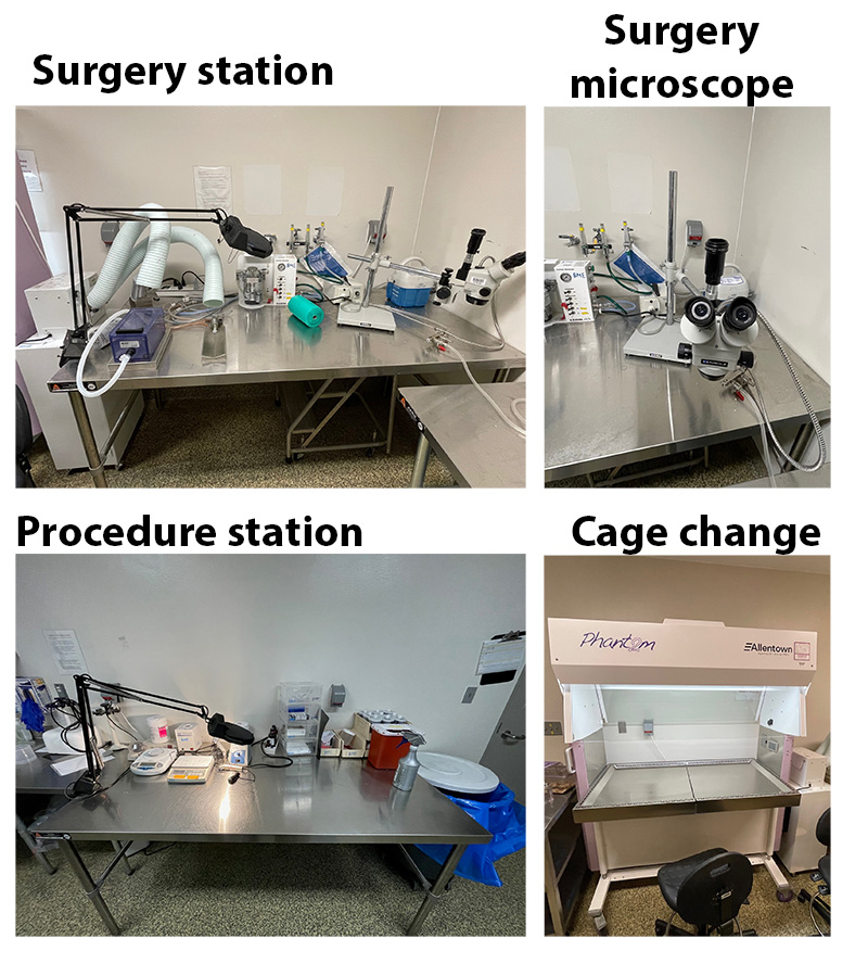 regular mice imaging equipment