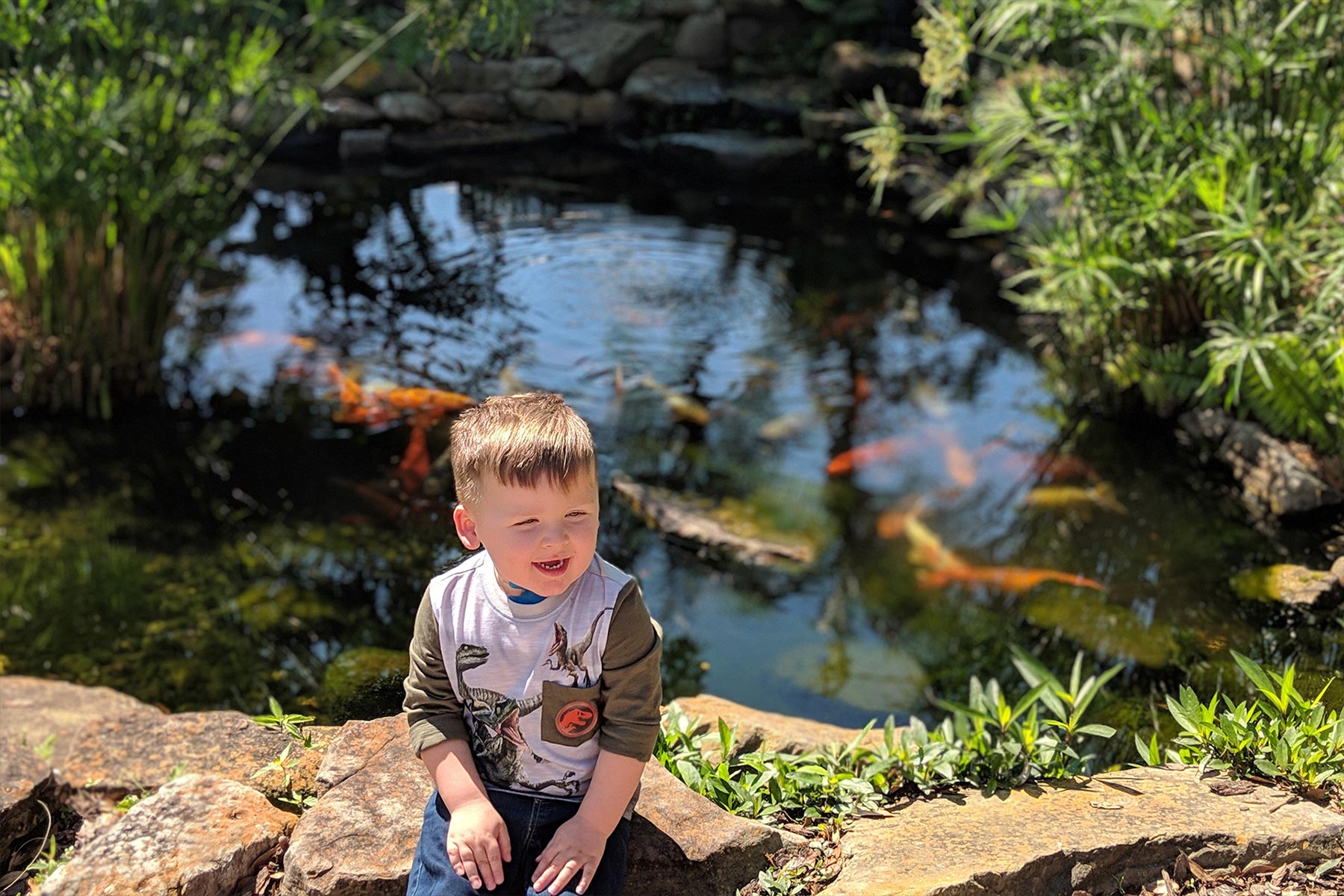 Kase smiles while sitting on some large rocks in the sun. A koi pond filled with fish is behind him.