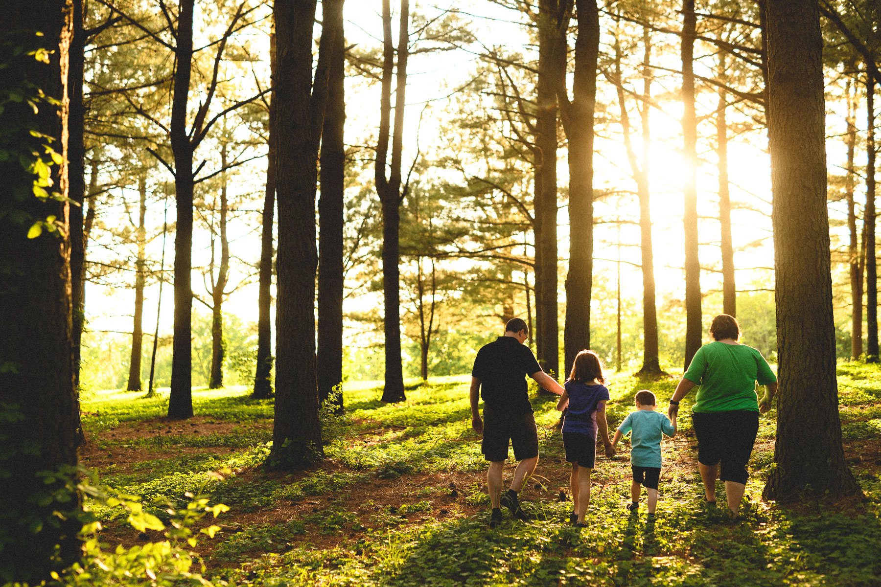 The Middleton family holds hands and walks back out of the forest.