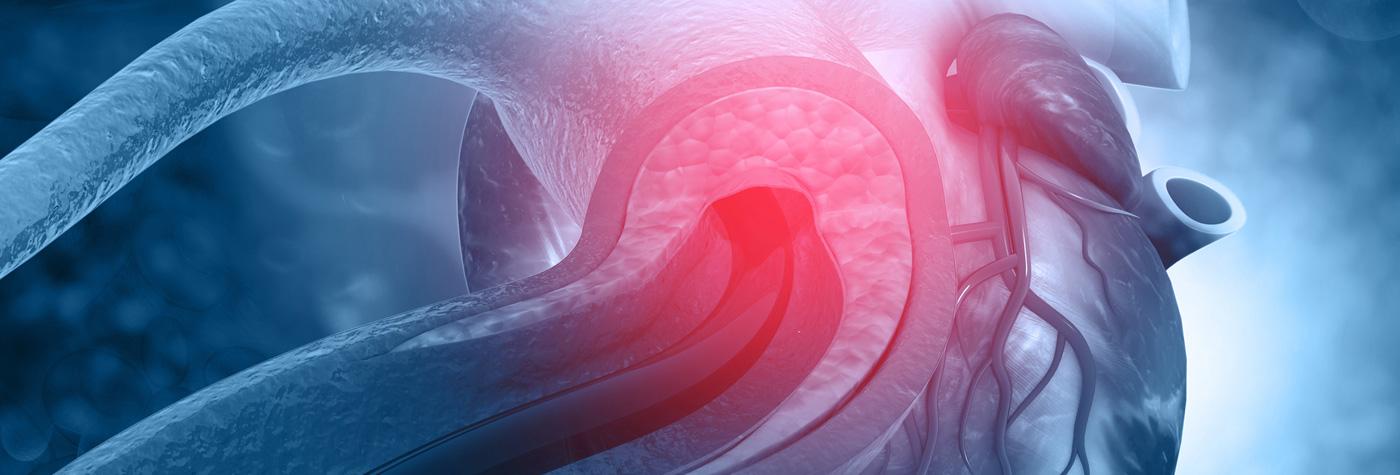 Close up illustration of the human heart