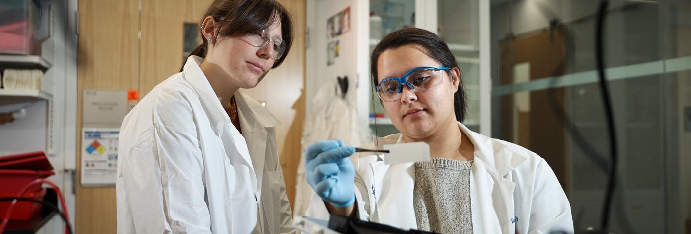 Two researchers at the Barnstable Brown Diabetes and Obesity Research Center work in their lab. 