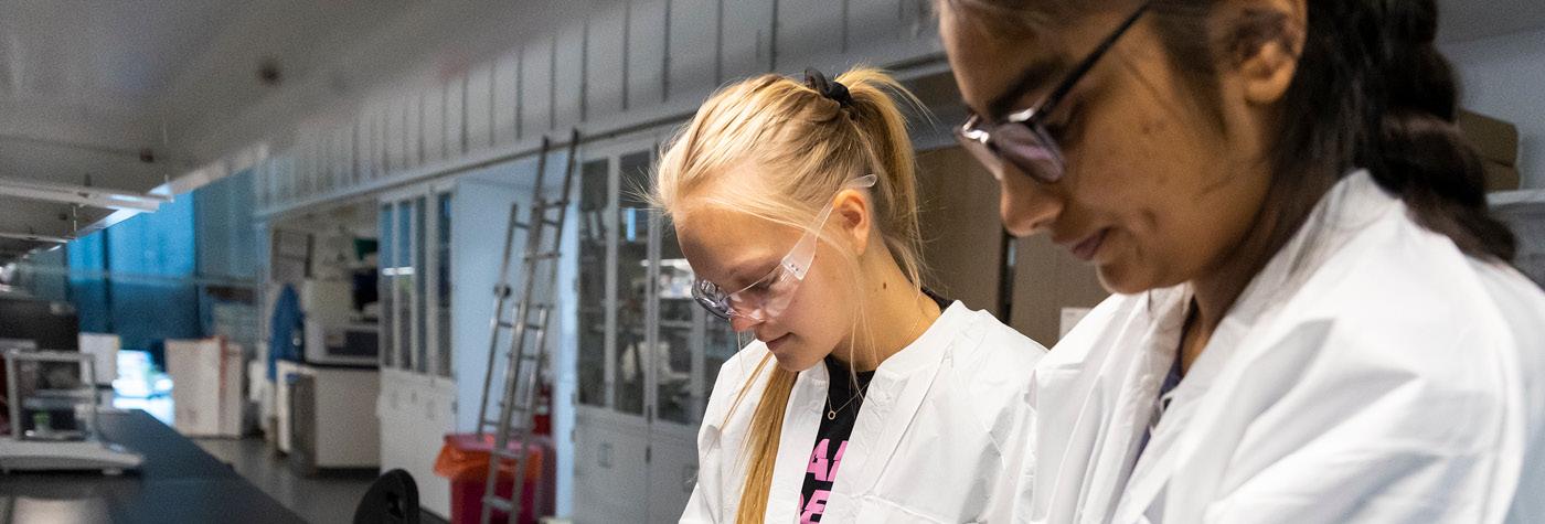 Research assistants for the Barnstable Brown Diabetes & Obesity Research Center work in the lab. 