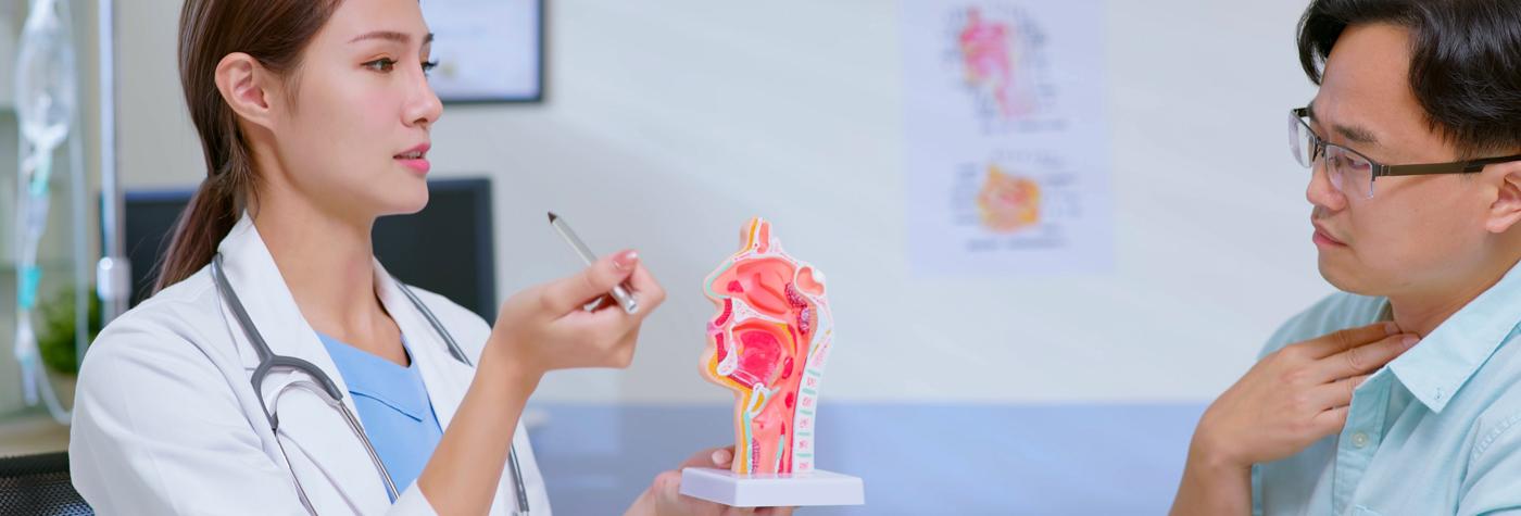 A female medical provider in a white coat speaks with a patient while holding up a model of the human head and neck.