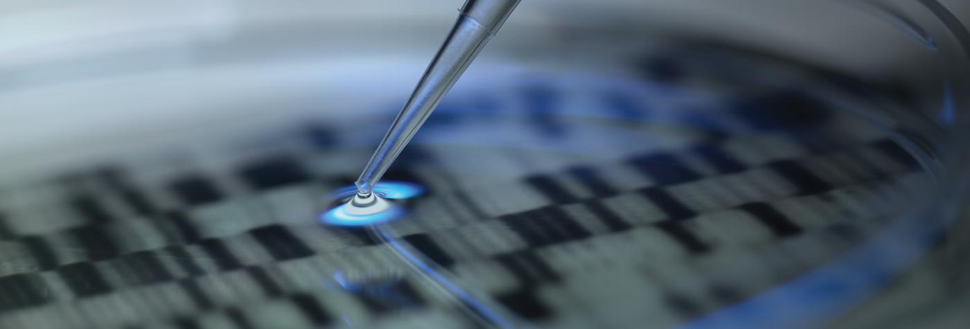 Pipette and petri dish in laboratory