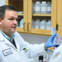 Dr. D’Orazio holds a tray containing cell colonies while talking with Dr. Holcomb.