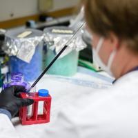 An over-the-shoulder shot of Dr. Holcomb using a specialized tool to create a cell colony using dye.