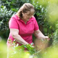 Suzanne prunes a bush in her garden.